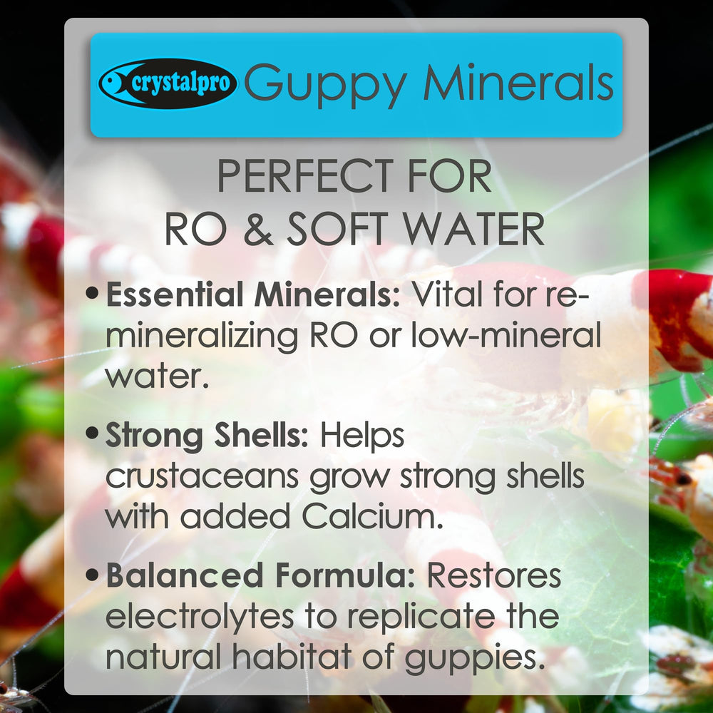 Crystalpro Guppy Minerals, plantes et eau claire dans l'aquarium.