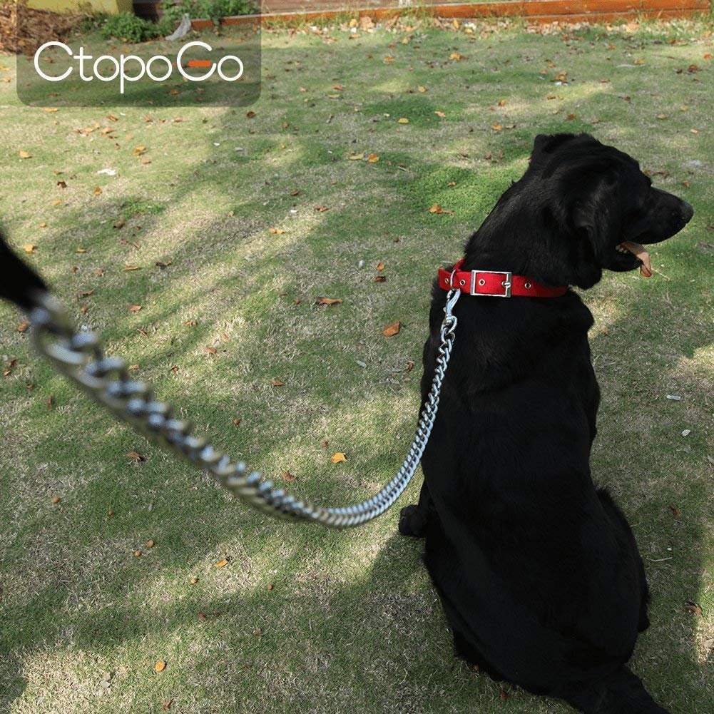 CtopoGo Laisse attache sécurisée et fermeture fiable