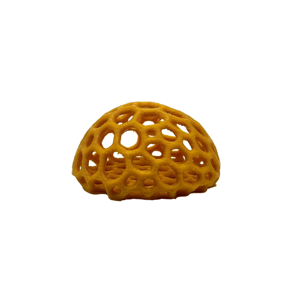 CTWPets abri-crevettes-visuel-or-miel: intimité et cachette