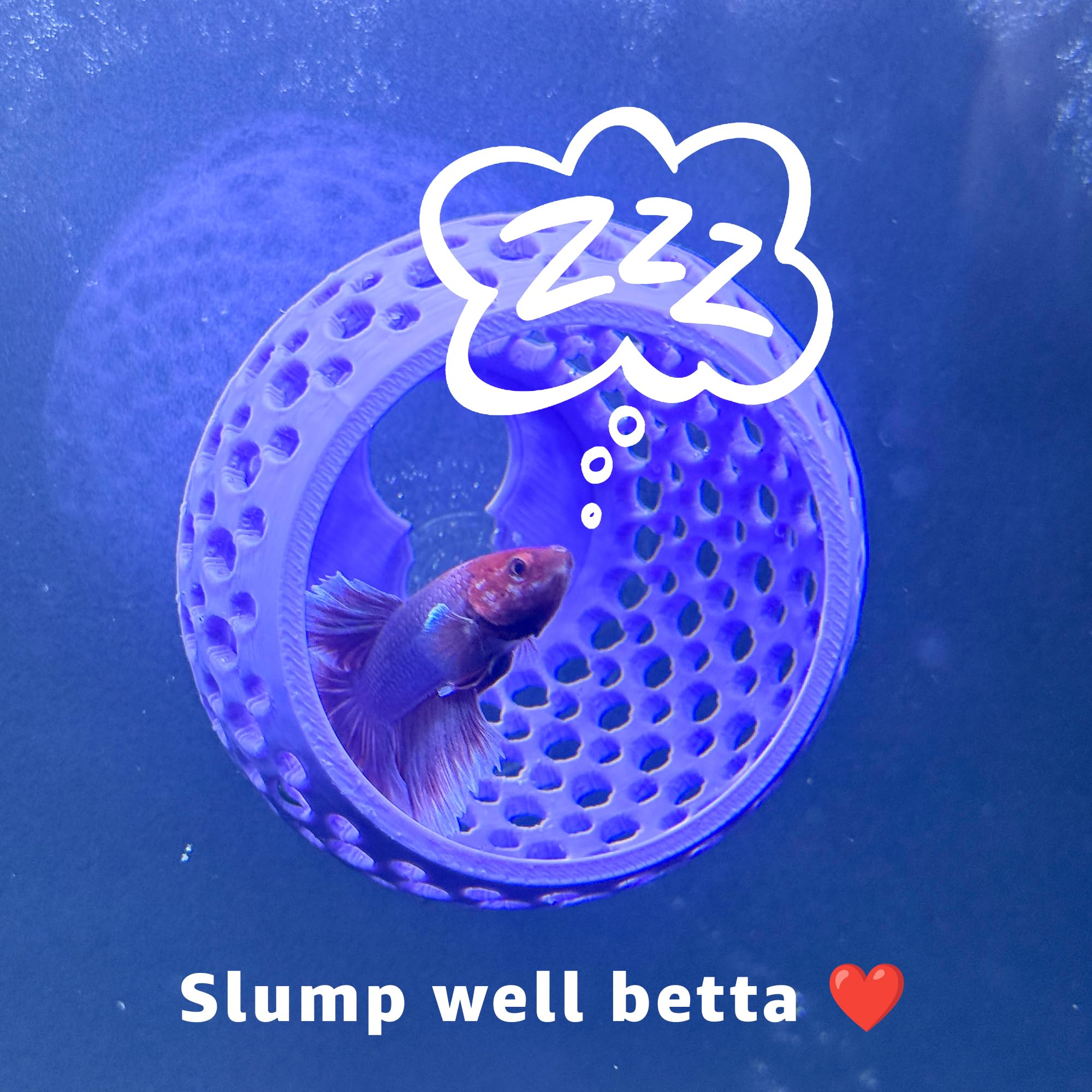 CTWPets Betta Bulb Hide 2.0 — cavité décorative idéale pour petits poissons.