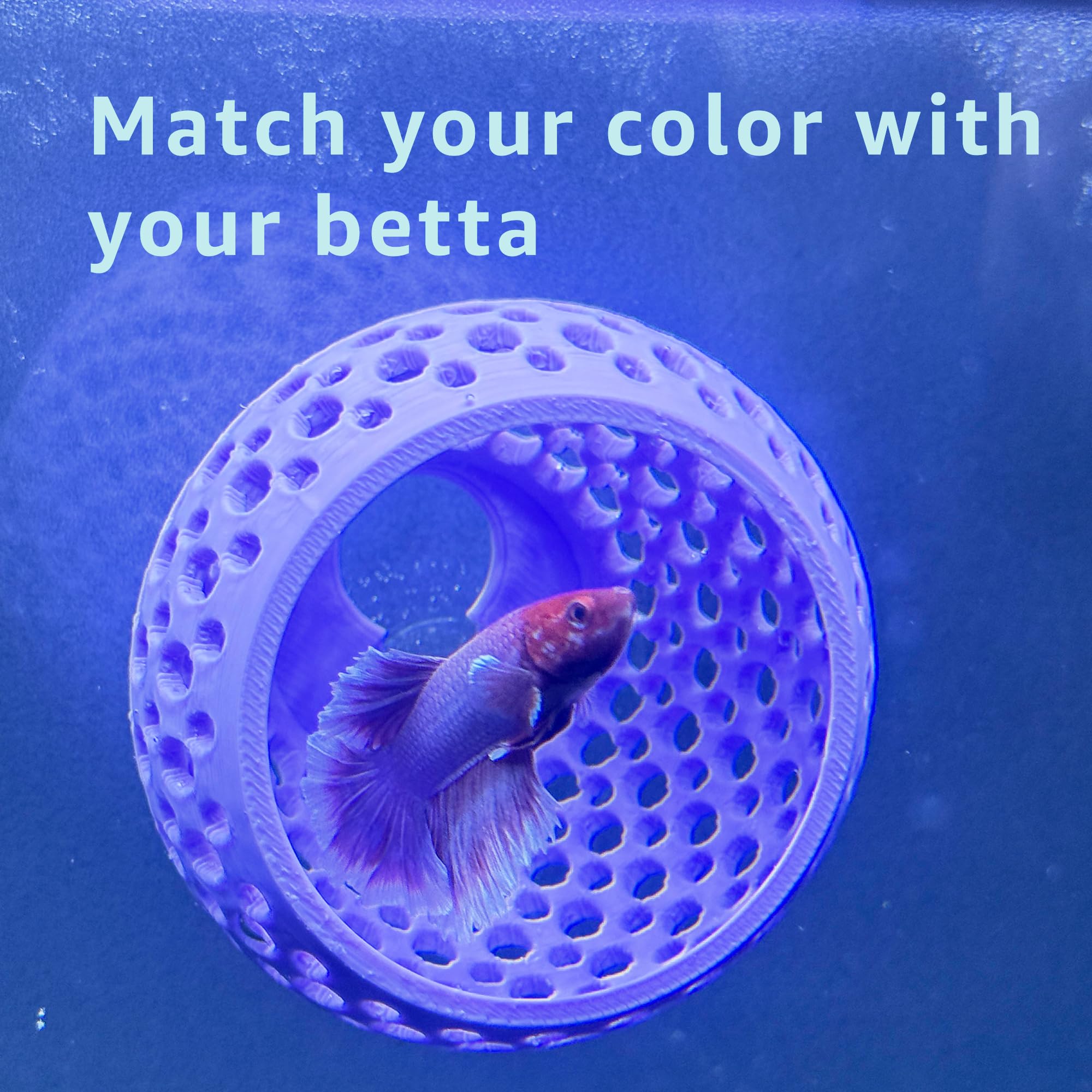 CTWPets Betta Bulb Hide 2.0 — décor polyvalent pour aquariums et crevettes.