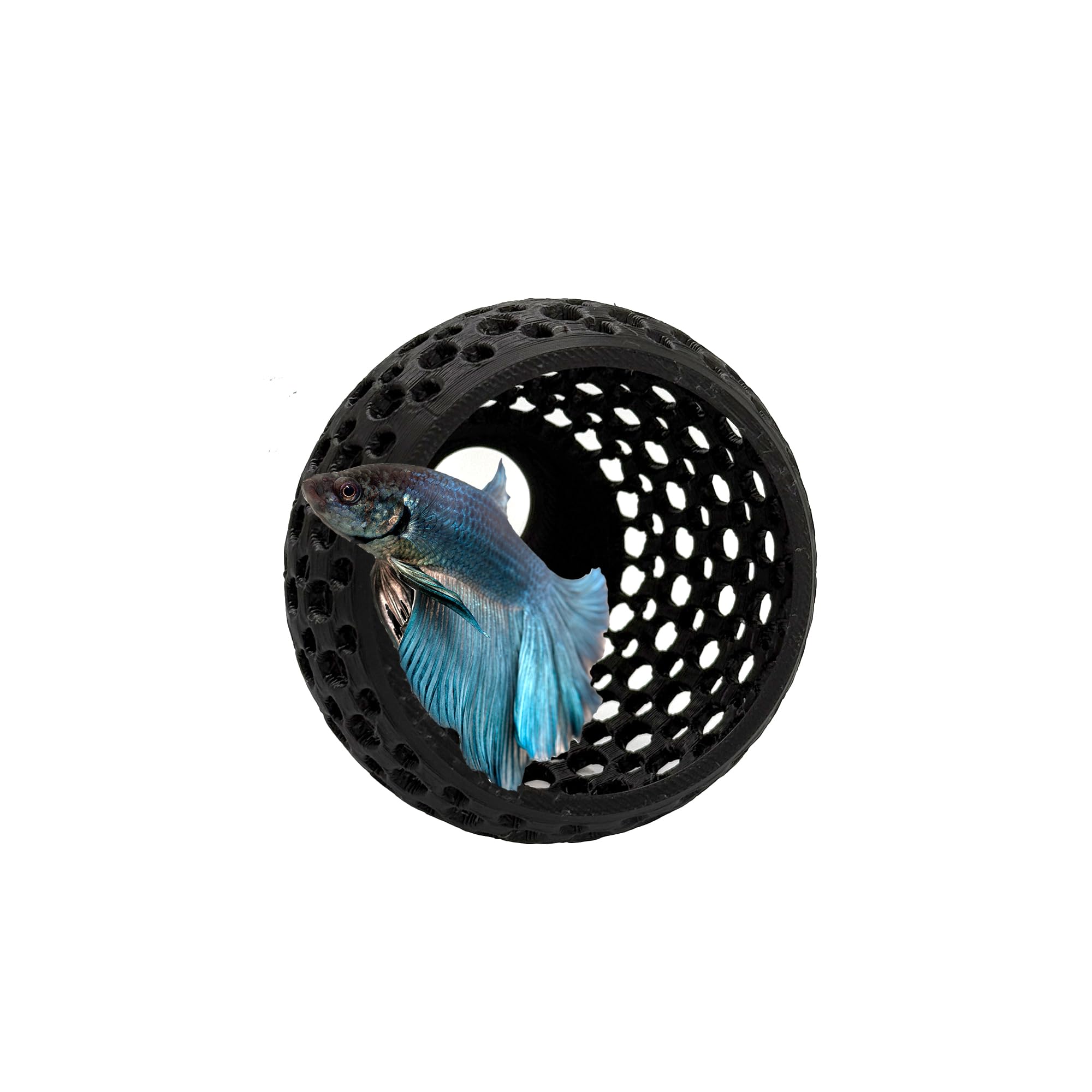 CTWPets Betta Bulb Hide 2.0 — refuge Betta dans un décor aquatique naturel.