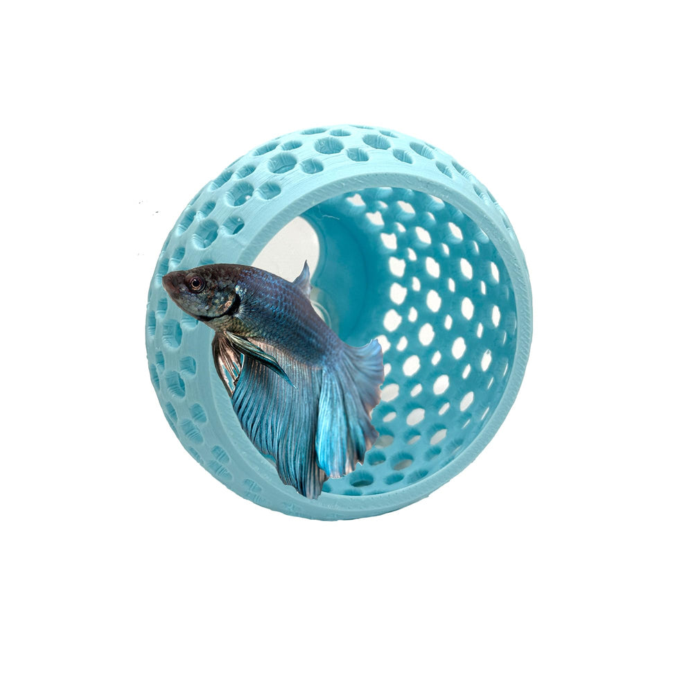 CTWPets Betta Bulb Hide 2.0 — refuge betta pratique avec ventouse.