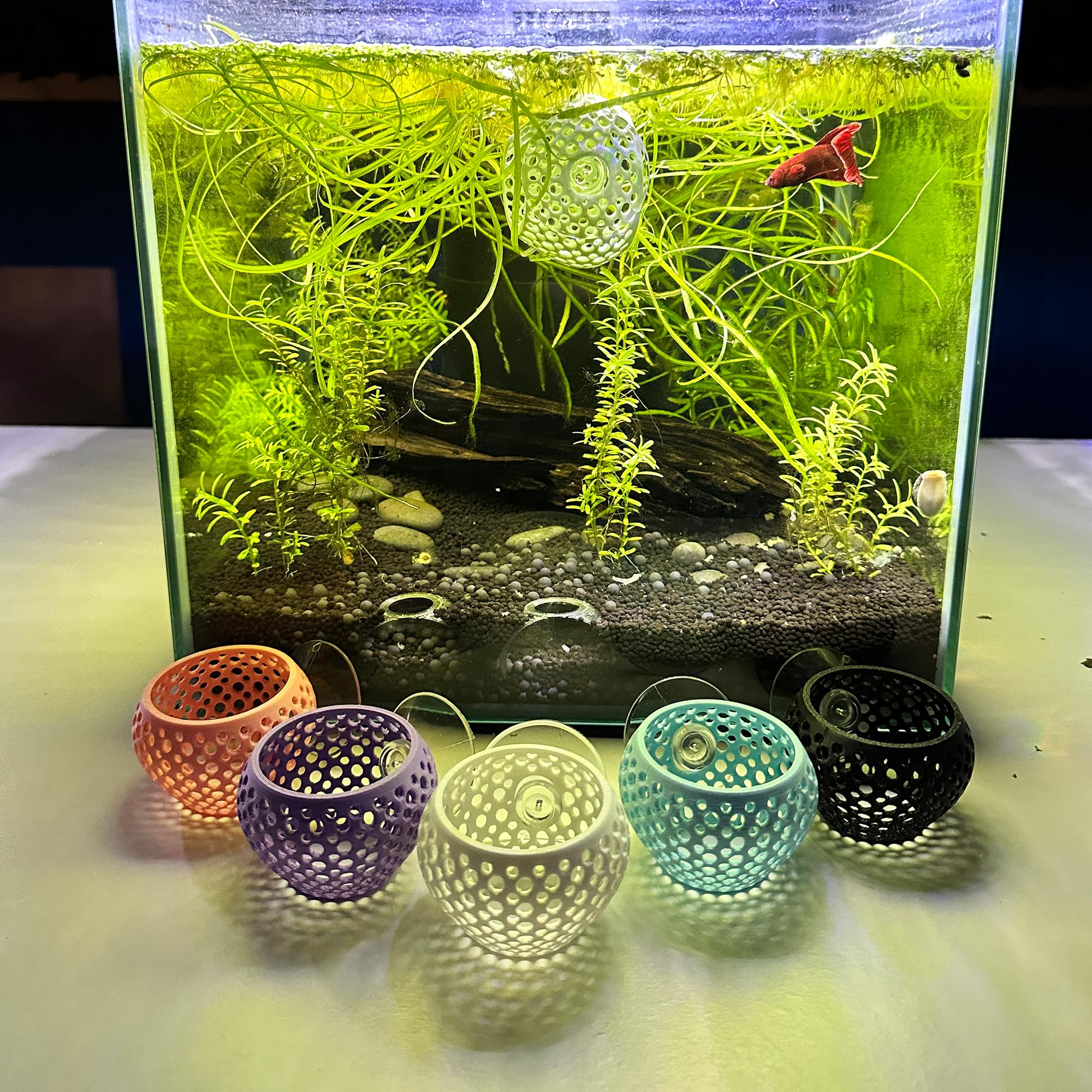 CTWPets Betta Bulb Hide orifices eau: circulation adaptée.