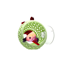 CTWPets Betta Bulb Hide, refuge sûr pour betta dans l’aquarium