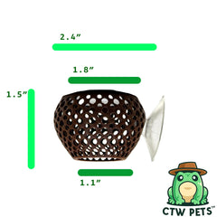 CTWPets cachette aquarium pour petits poissons: repos et exploration en sécurité.