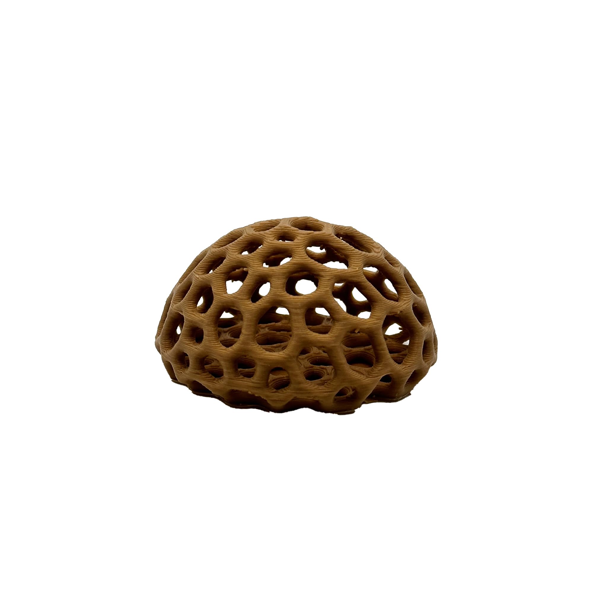 CTWPets cachette dôme crevettes cerises, idéal pour cacher et observer les crevettes.
