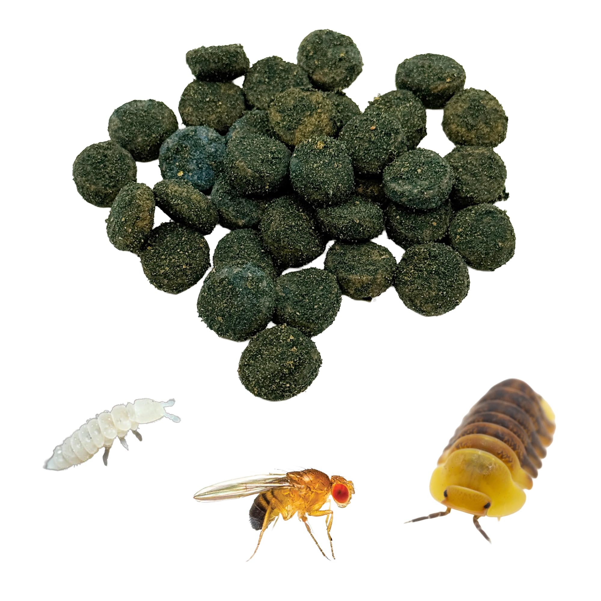 CTWPets Clean Up Crew Bites, setup-bioactif net et stable favorisant l’équilibre.