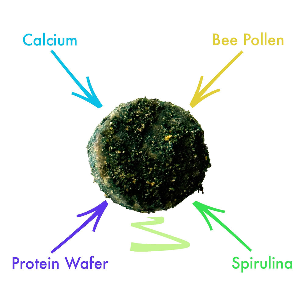 CTWPets Clean Up Crew Bites, diffusion sur la surface du substrat dans le terrarium.