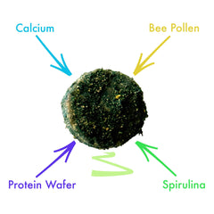 CTWPets Clean Up Crew Bites, diffusion sur la surface du substrat dans le terrarium.
