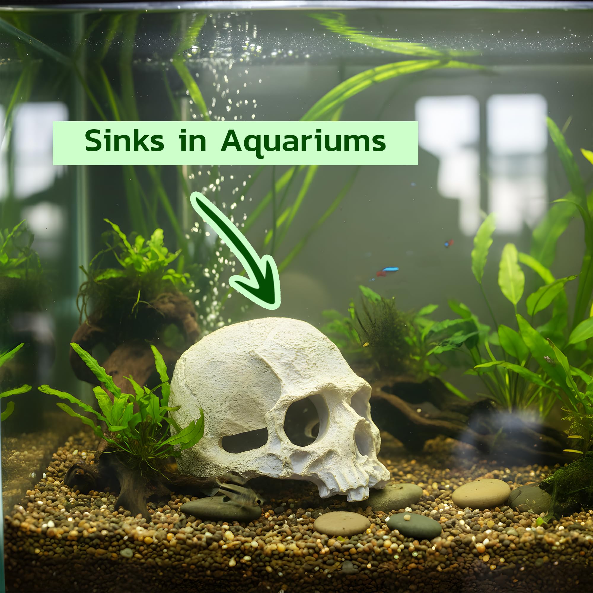 CTWPets détail du crâne humain décoratif pour aquarium