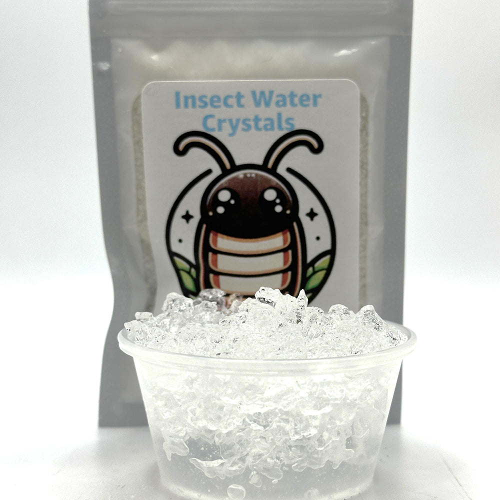 CTWPets cristaux d'hydratation surface humide — surface humide prête à boire