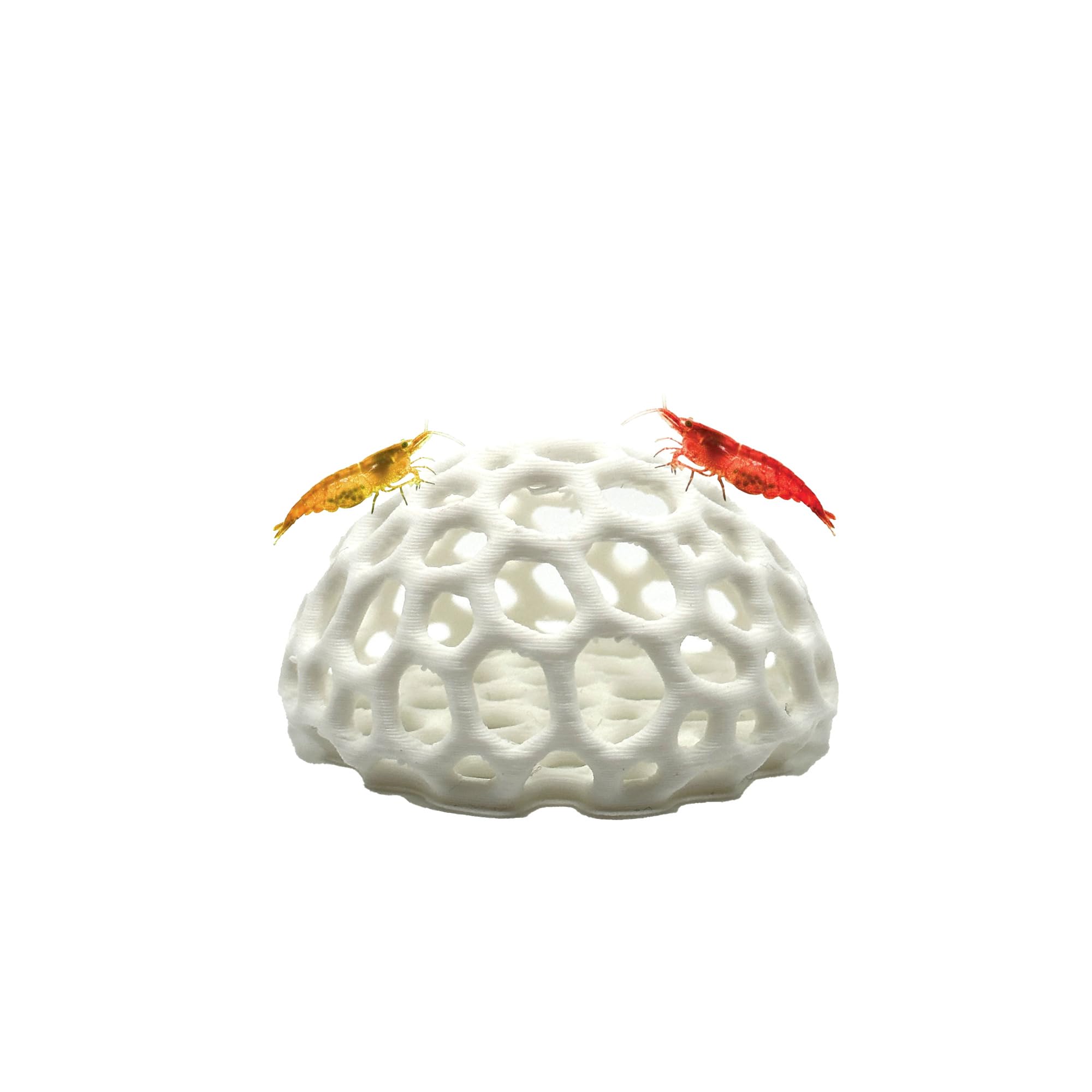 CTWPets cache-crevettes blanc, vue haute, refuge sûr et élégant pour vos crevettes.