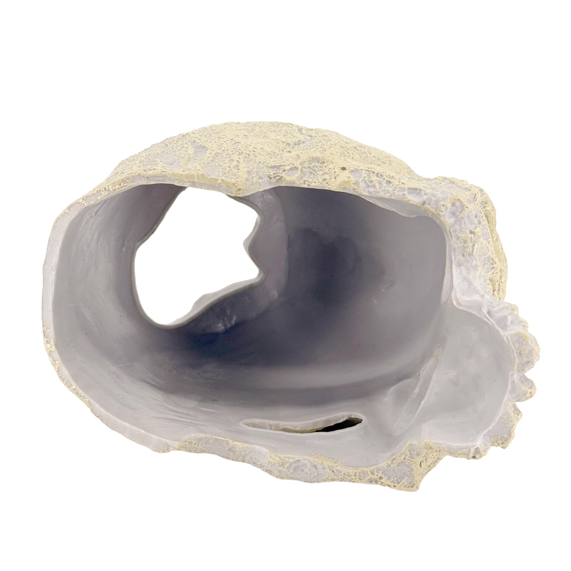 CTWPets ornement squelettique pour aquarium, cachette naturelle