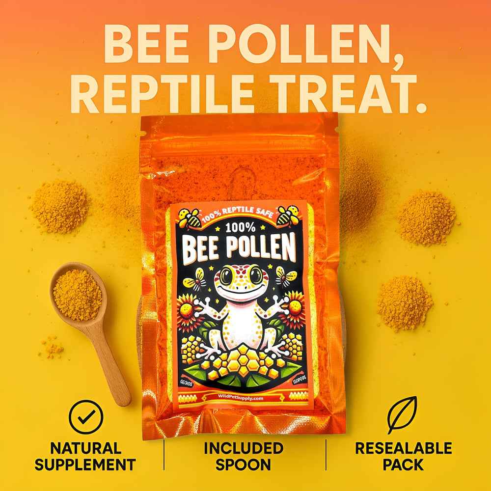 CTWPets pollen d'abeille poudre détail grains dorés