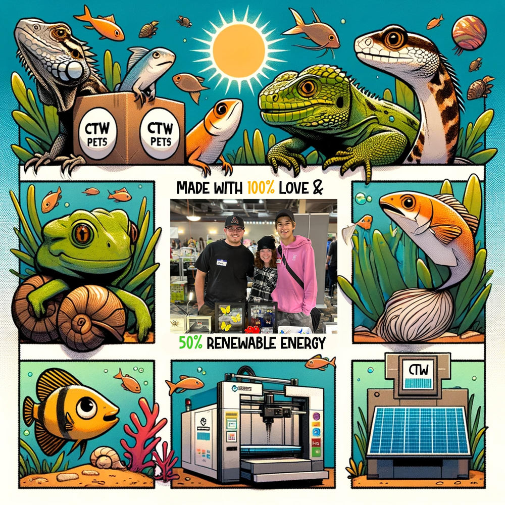 CTWPets Abri Dôme pour Crevettes Cerises ecosysteme aquarium, compatible avec divers biotopes.