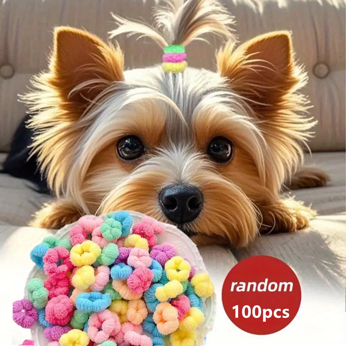 Parfait pour chignons et coiffures chez petits chiens comme Yorkshire et Maltais.