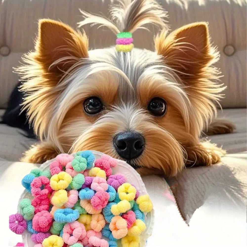 Les bandes mini-colorées de Cuchenhuan pour chiens gardent le pelage élégant.