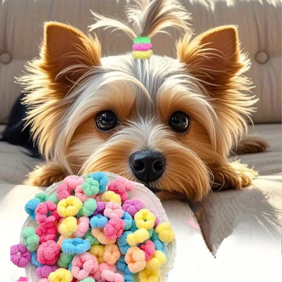 Les bandes mini-colorées de Cuchenhuan pour chiens gardent le pelage élégant.