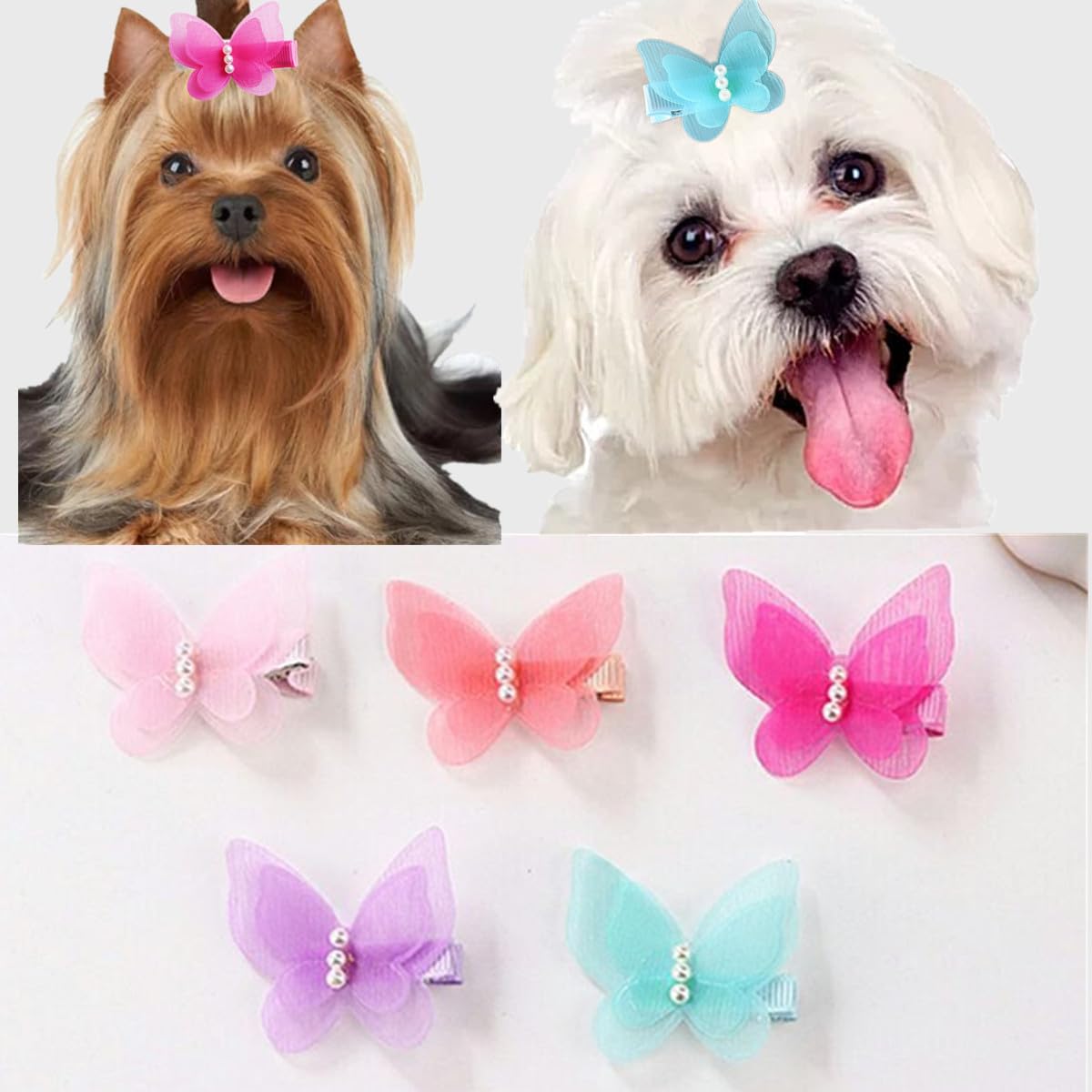 Broche papillon perle de Cuchenhuan pour des photos d’animaux attrayantes.