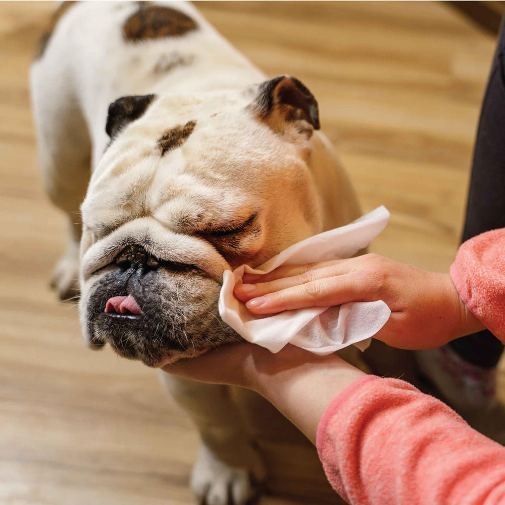 Lingettes cudlie pack fermé sans parfum pour peaux sensibles.