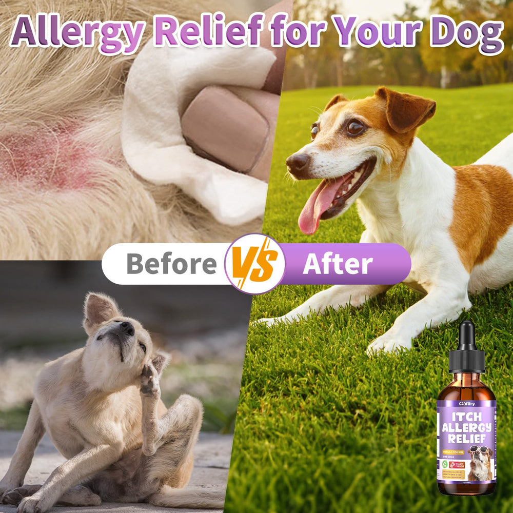 Adapté à toutes les tailles de chien grâce à une utilisation simple.