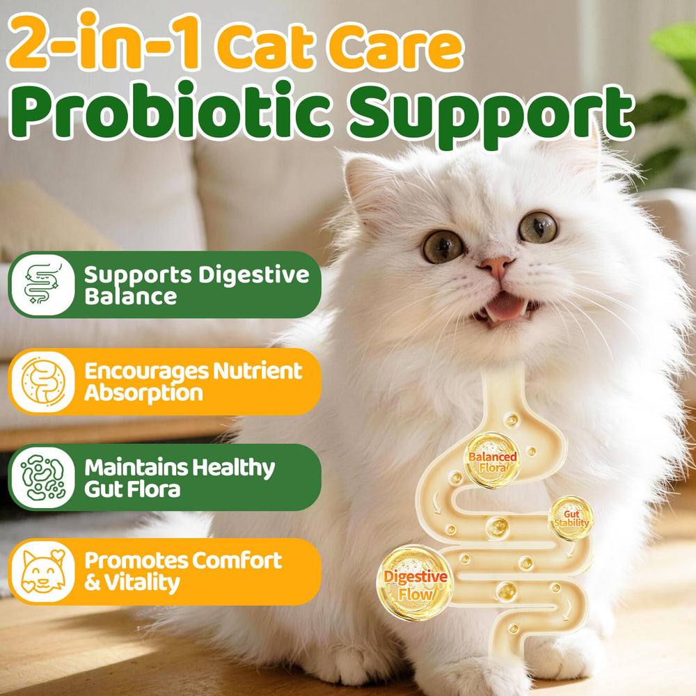 Cudory: probiotiques pour digestion et équilibre intestinal du chat.