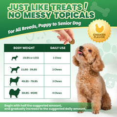 Cudory flacon de friandises pour chien, pratique et prêt à l'emploi.