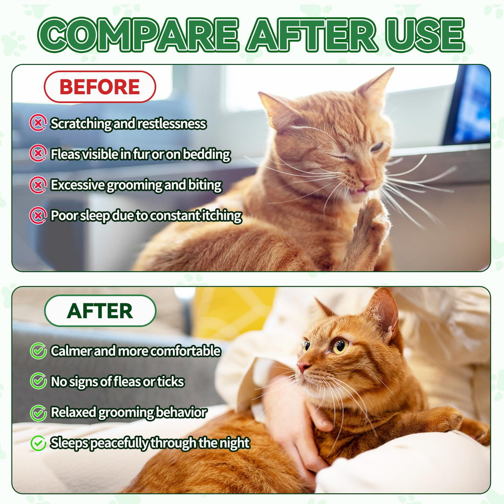 Gouttes Cudory pour chats – pelage plus brillant et peau saine