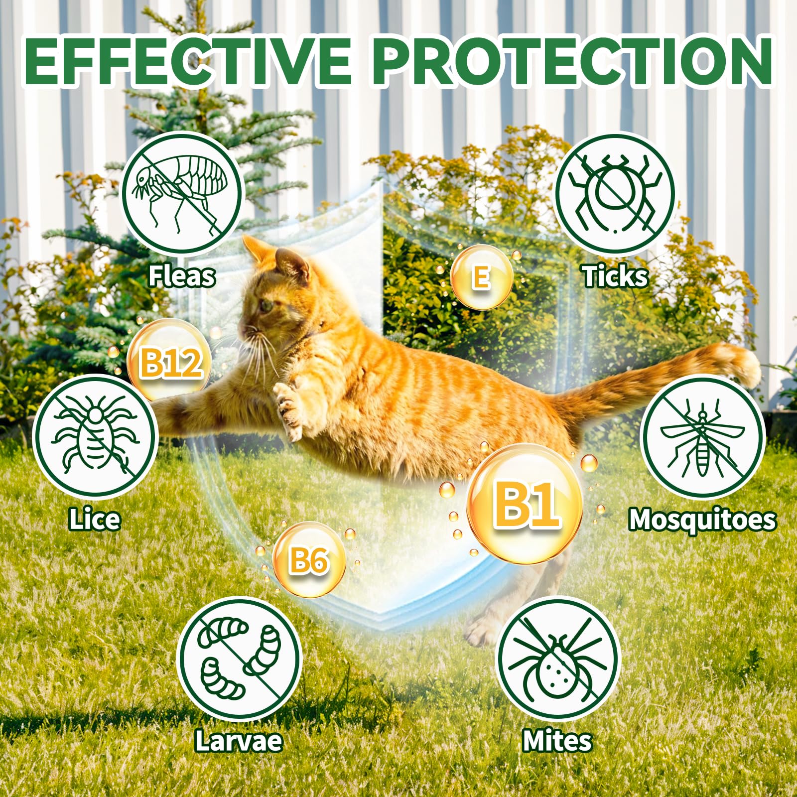 Gouttes Cudory pour chats – versement simple ajoutées à l’alimentation