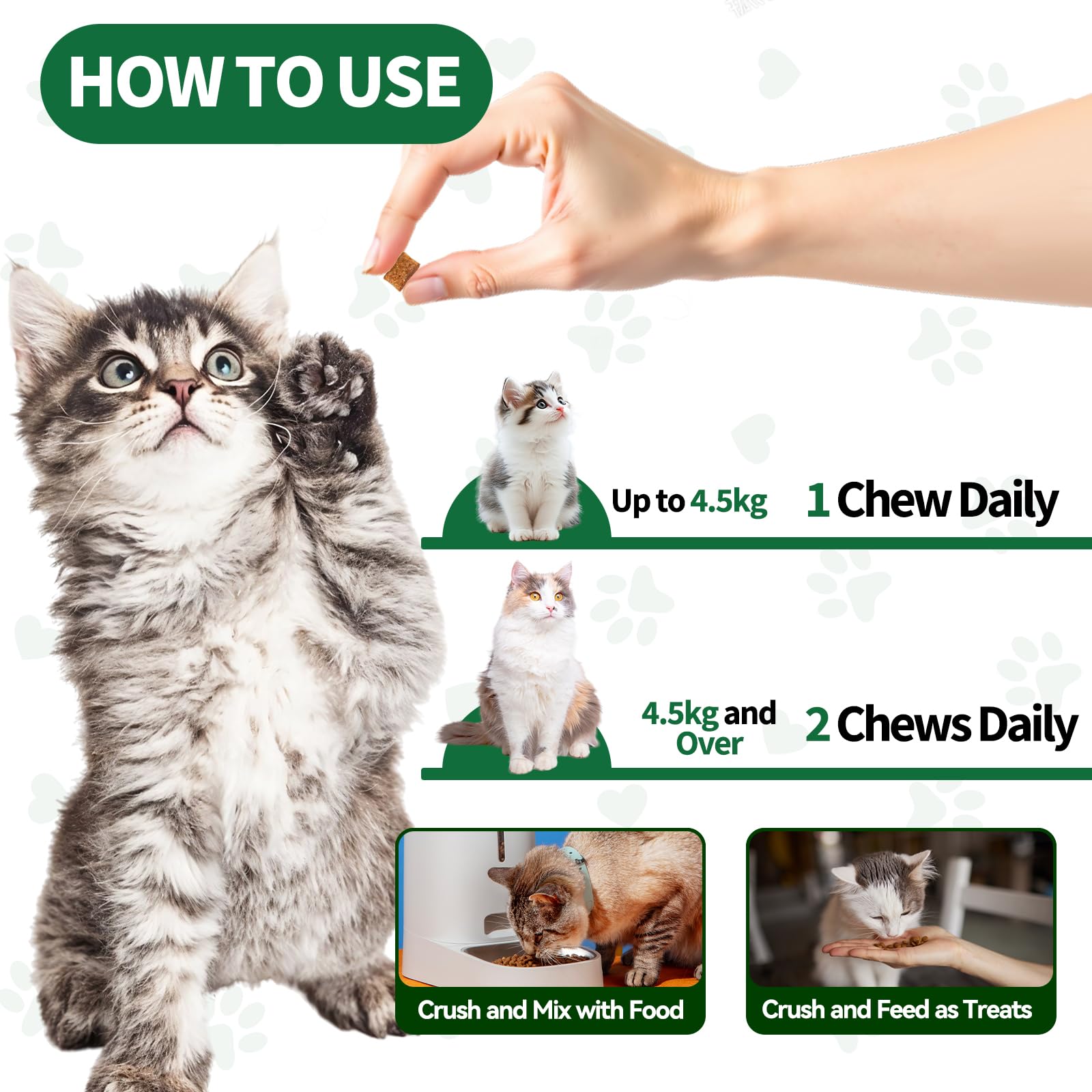 Cudory pelage et peau du chat, soutien naturel