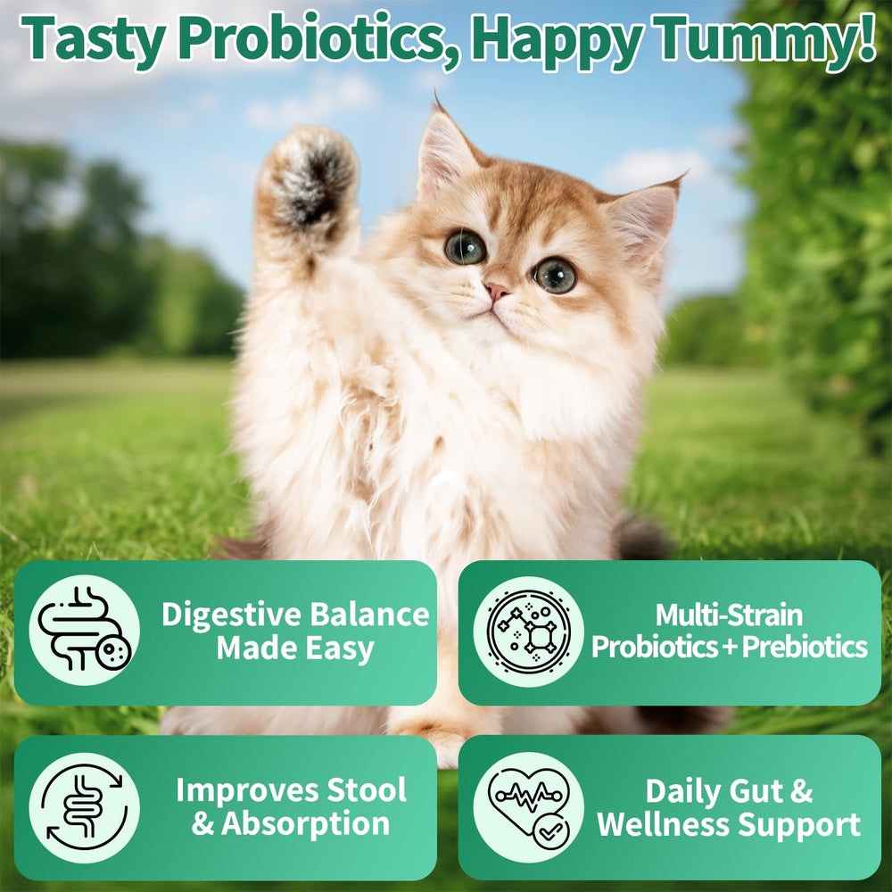 Cudory Probiotiques Chat: poil plus brillant grâce aux nutriments clés.