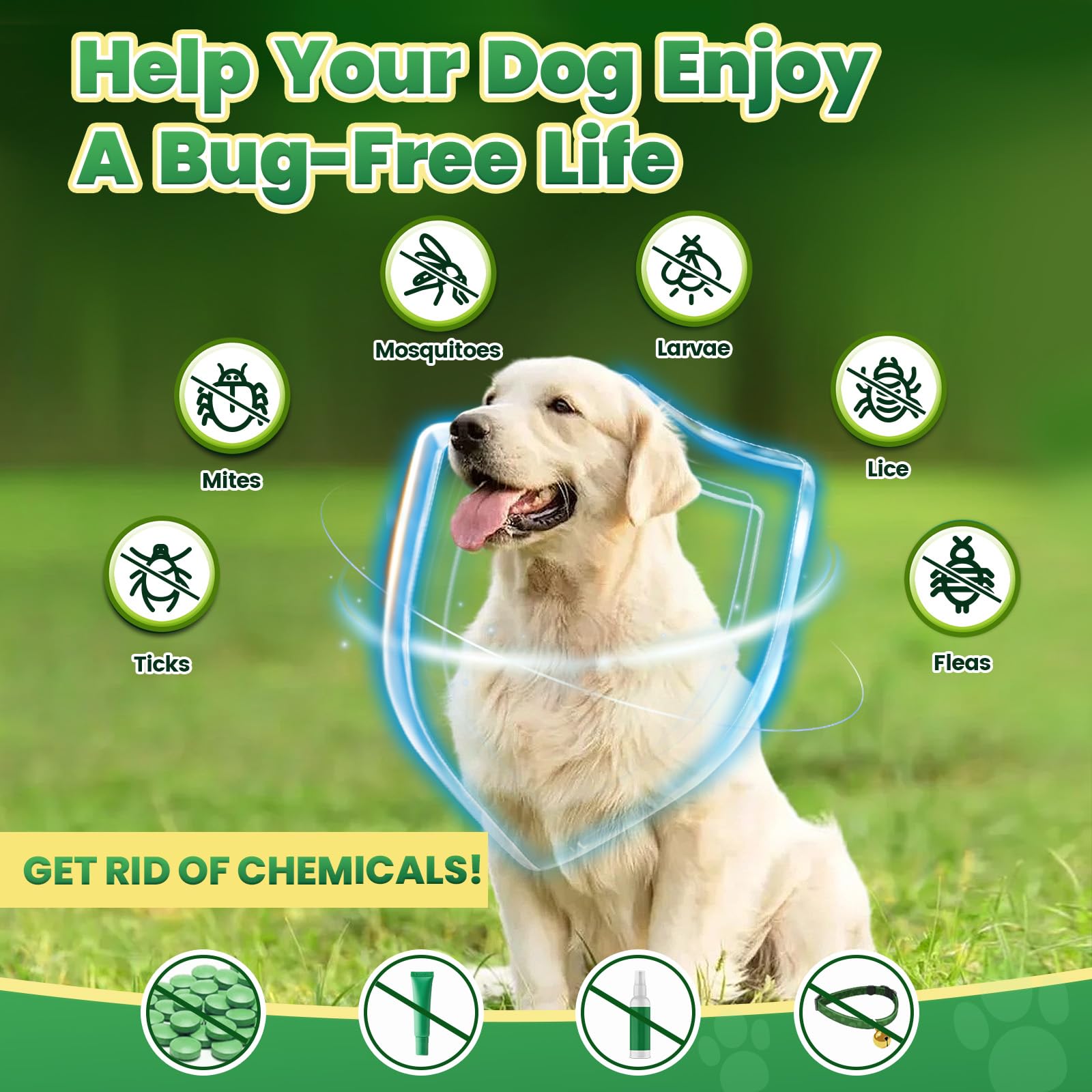 Friandises Cudory: paquet de 200 pour chien, utilisation durable.