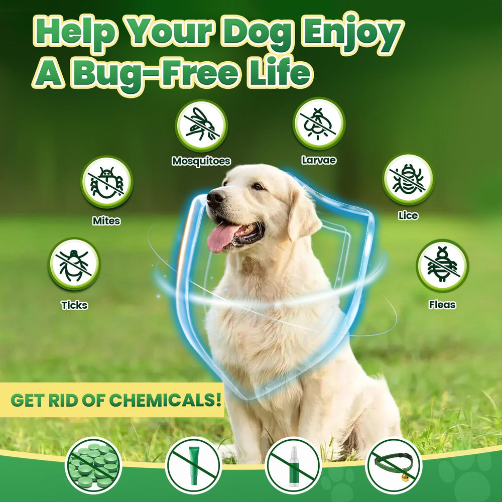 Friandises Cudory: paquet de 200 pour chien, utilisation durable.