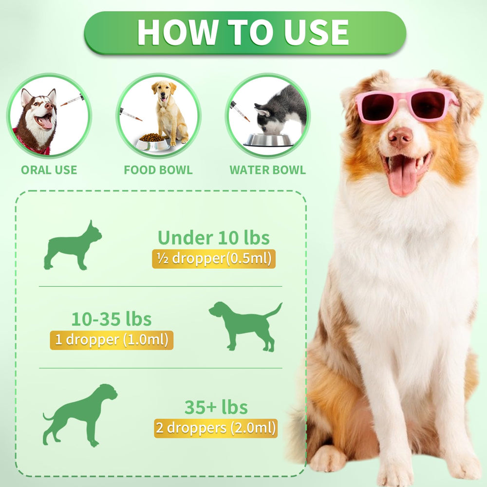 Usage quotidien Cudory pour chiens de toutes tailles.