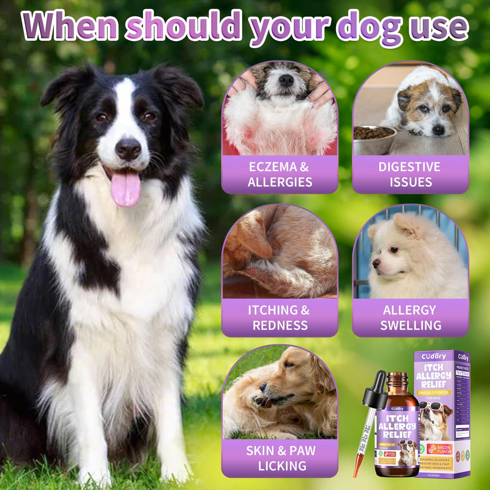 Gouttes faciles à ajouter à l'alimentation du chien avec Cudory.