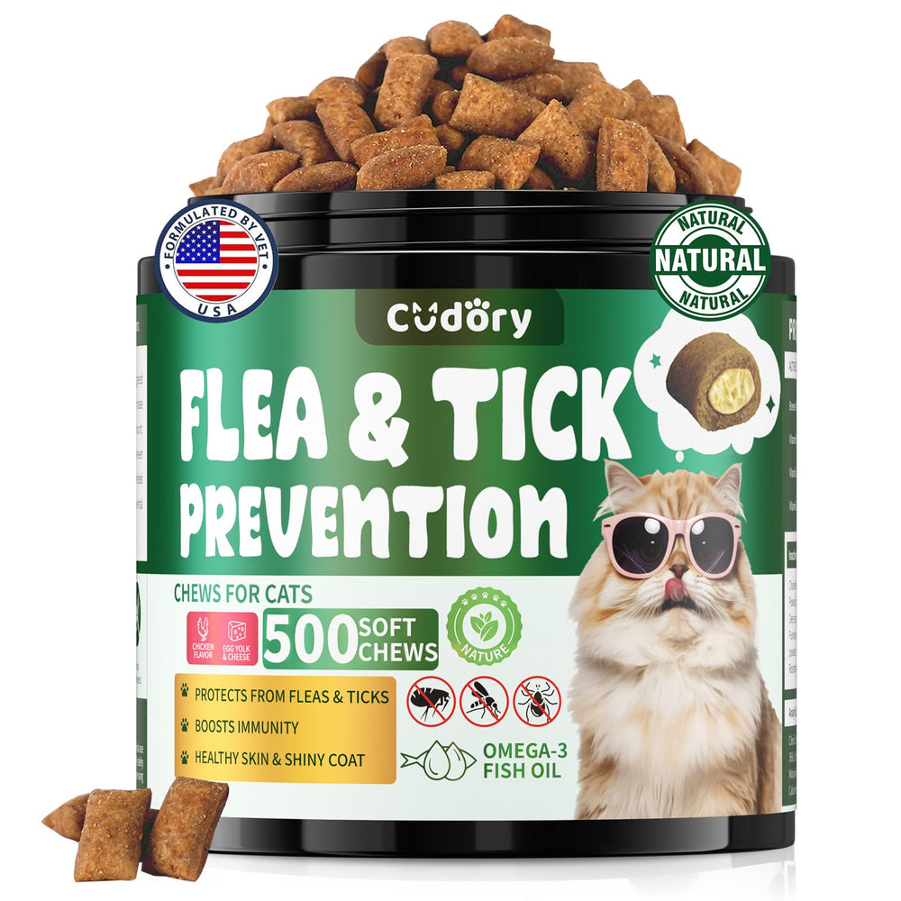Cudory vue-scène prévention puces et tiques pour chats.