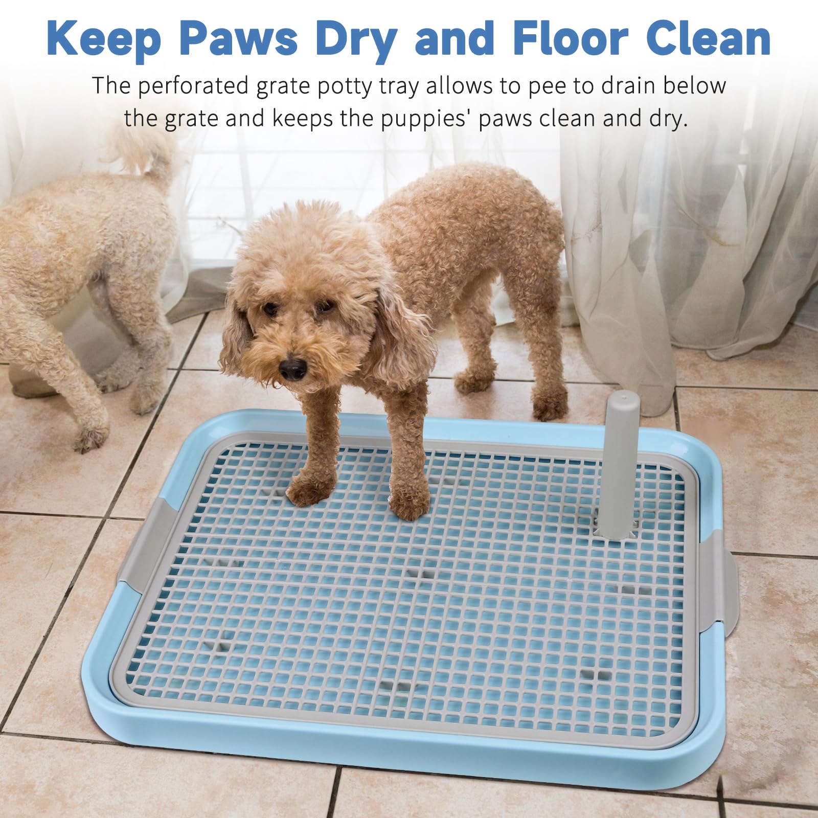 CUHIOY utilisation intérieur et extérieur: bac portable pour chiots