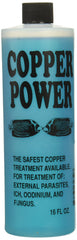 Cuivre Power Endich ACP0016B : bouteille bleue prête au traitement des poissons marins