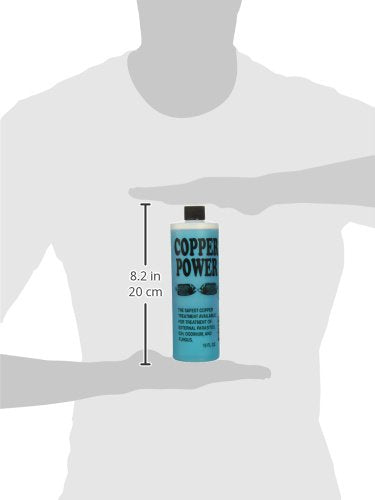 Cuivre Power Endich ACP0016B : mise en place rapide dans l’aquarium marin