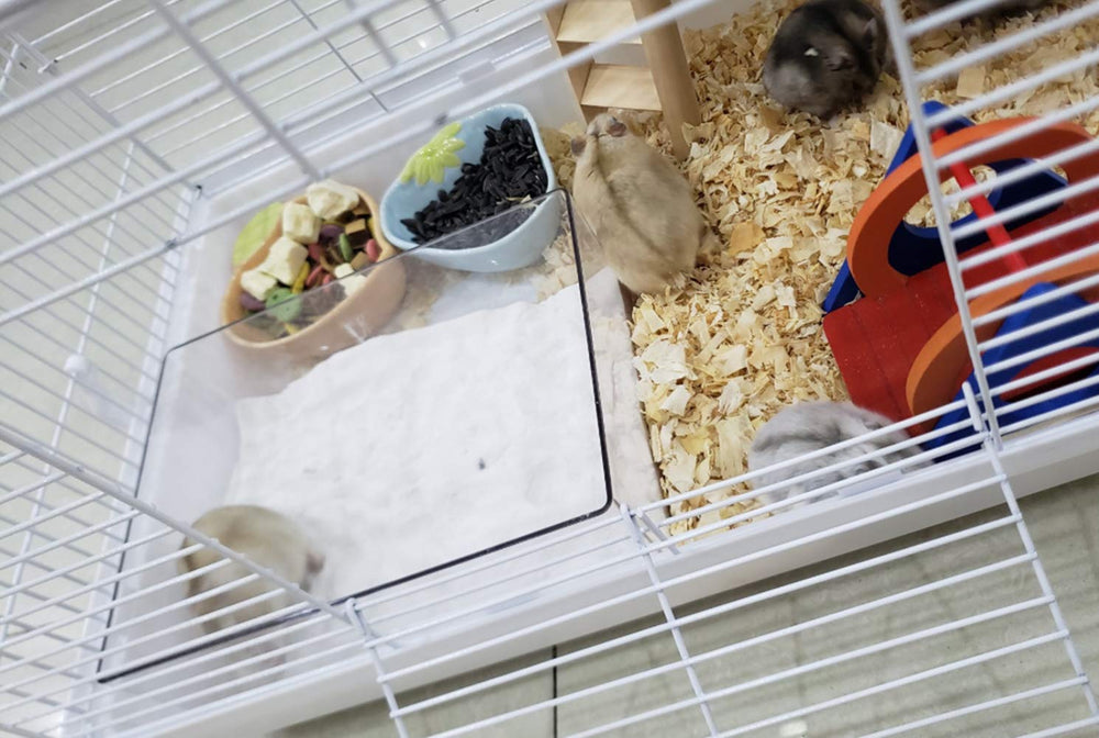 Cumuiu accessoire habitat hamster translucide, vue claire de l'installation.