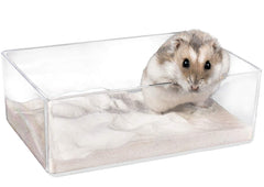 Cumuiu bac sable hamster translucide, observation du jeu.