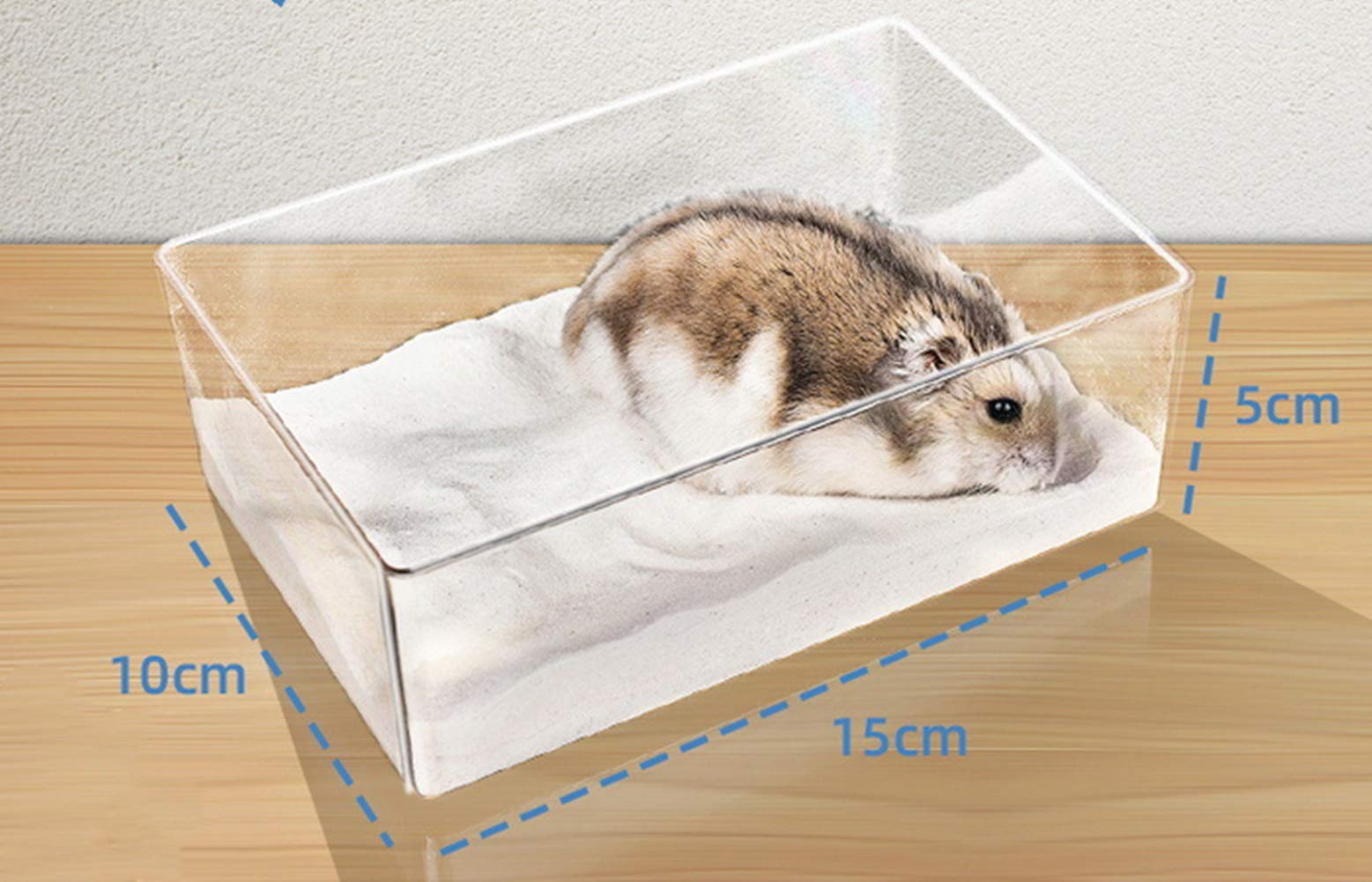 Cumuiu bain hamster translucide en acrylique, nettoyage facile.