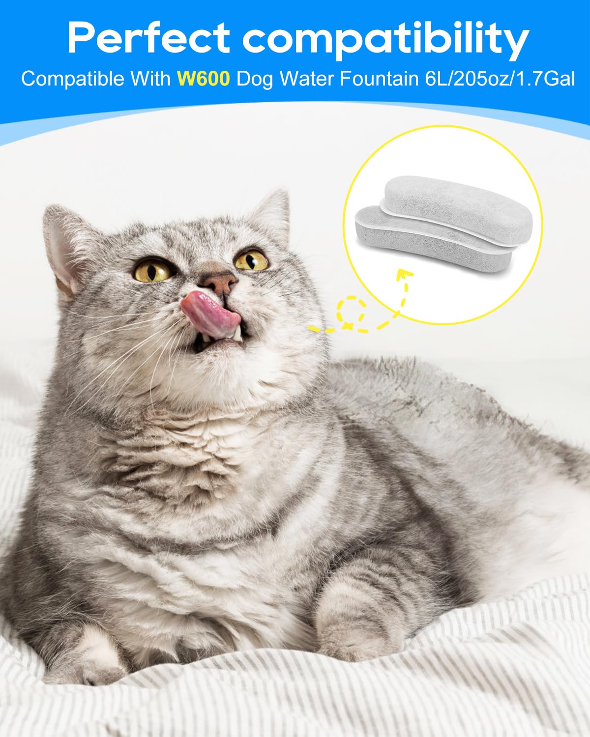 Filtre Cunina pour fontaine chien et chat, installation facile.