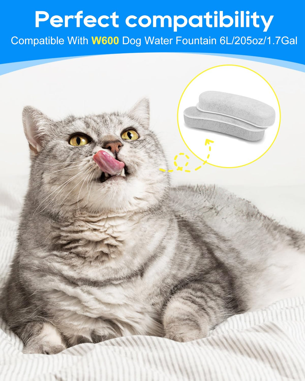 Filtre Cunina pour fontaine chien et chat, installation facile.