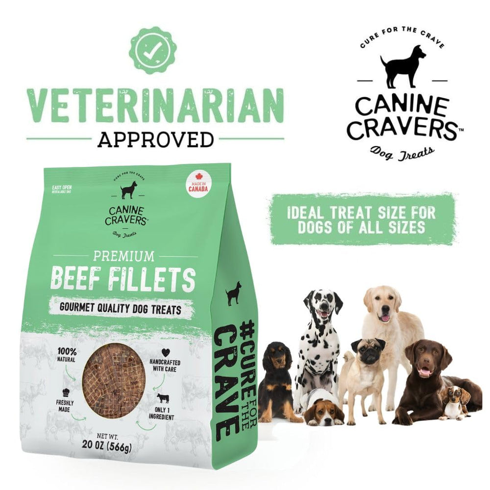 CURE FOR THE CRAVE CANINE CRAVERS : chien en action, friandise naturelle pendant le jeu.