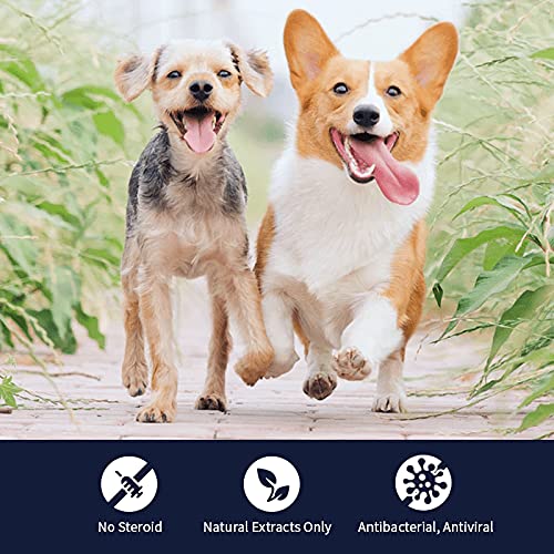 MucoMax application douce sur gencives et langue, traitement confortable