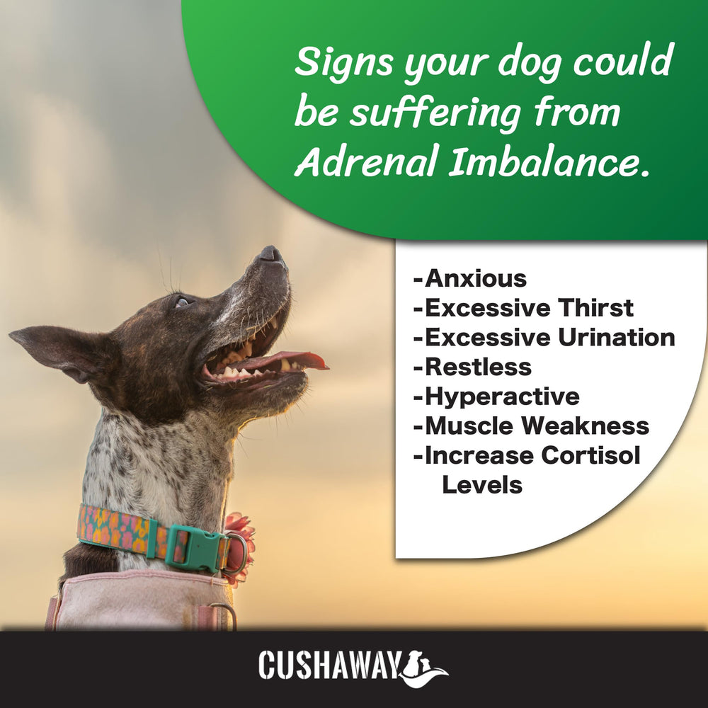 CushAway, bouteille et composition favorisant absorption.