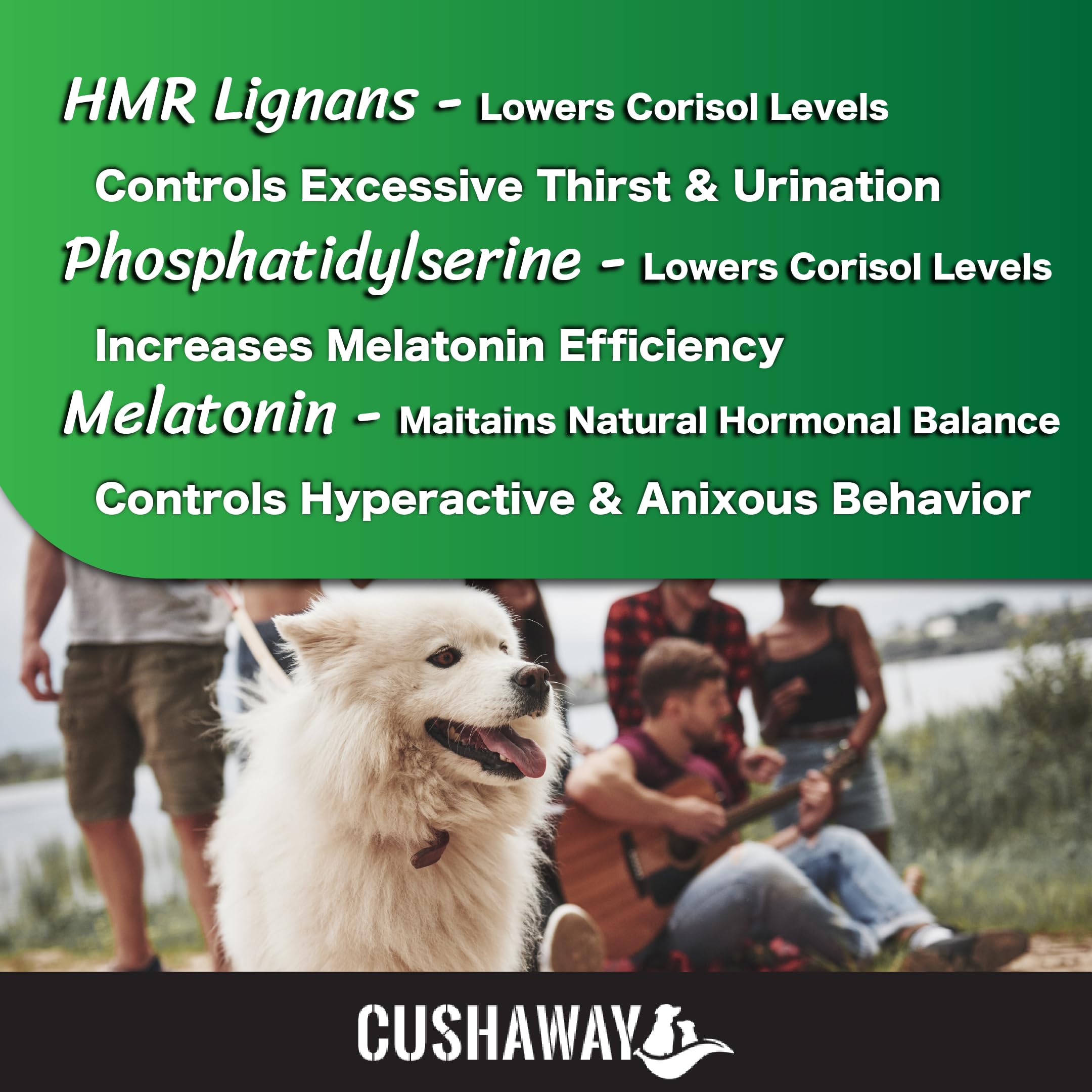 CushAway, chien utilisant les compléments dans sa routine.