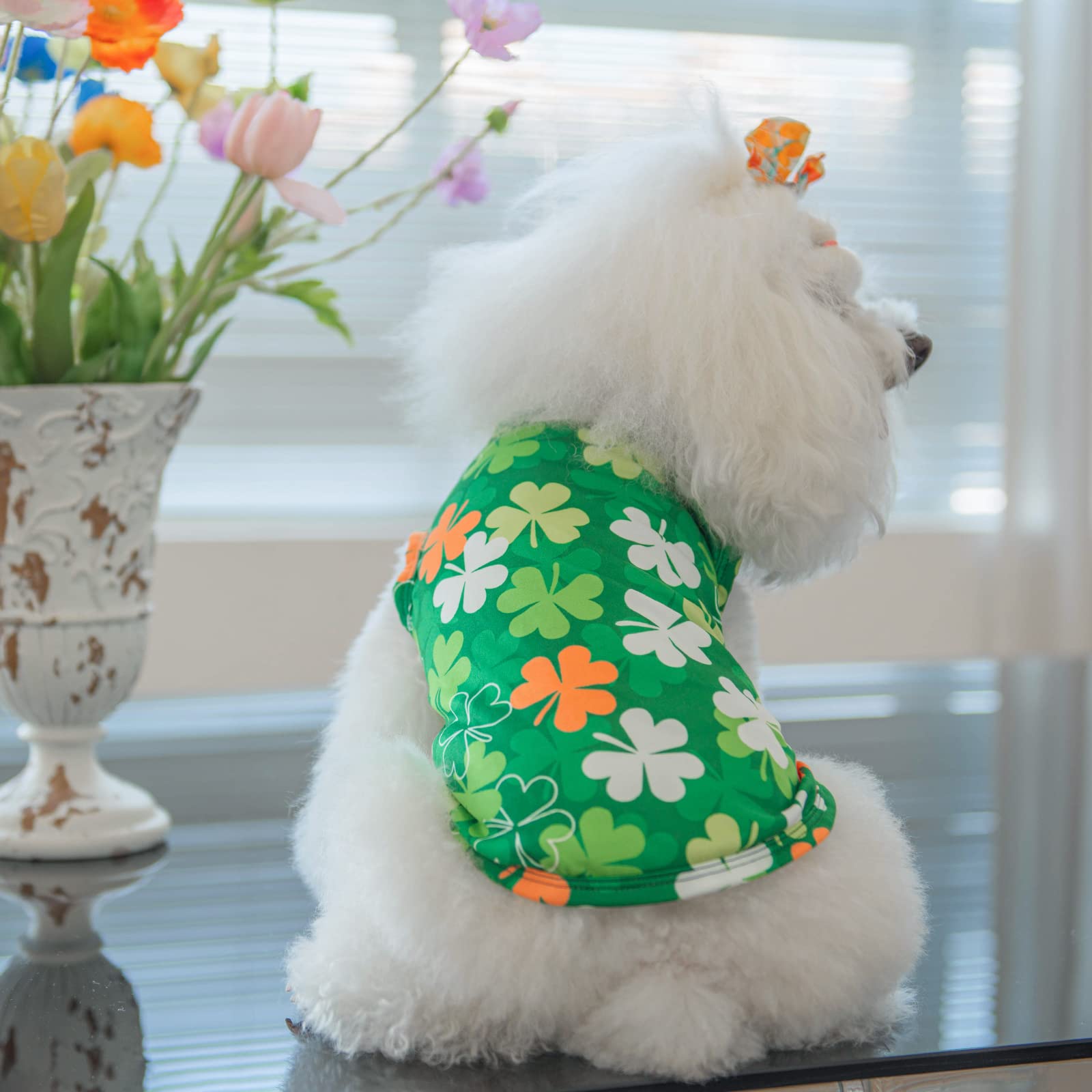 CuteBone t-shirt chat paques et saint-patrick, tailles variées